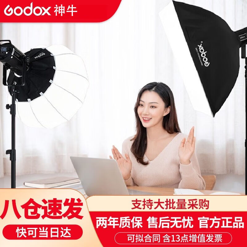 神牛（Godox）补光灯SL300LED摄影灯影棚视频录像常亮灯直播间柔