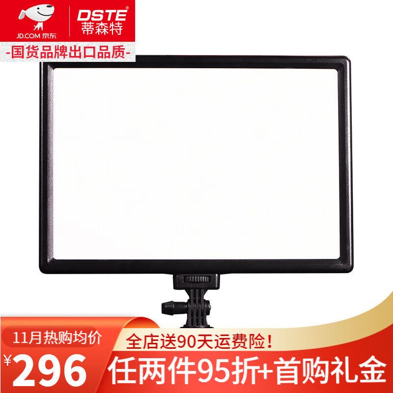 蒂森特（dste）户外补光灯直播灯内置充电池冷暖双色温摄影灯室外