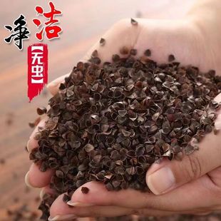 全荞麦壳枕头单人枕芯护颈椎枕乔麦皮硬家用助睡眠学生男女枕头芯