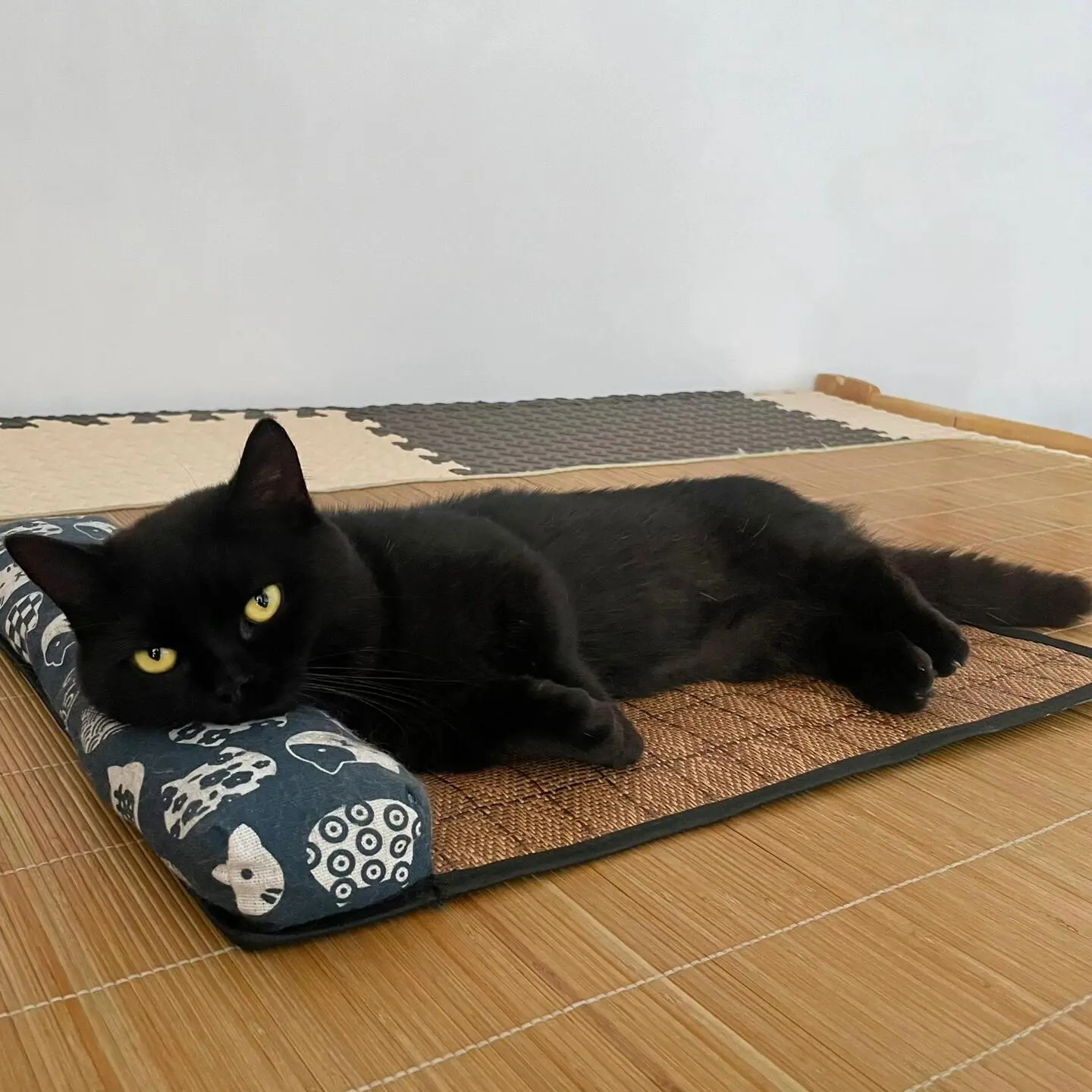 夏季藤编宠物凉席垫物理降温猫垫子布偶猫窝冰垫法斗狗垫子枕头