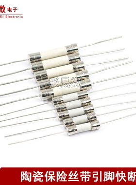 5x20 6*30MM陶瓷保险丝管250V快断熔断器3.15A/5A/6.3A/10A带引线