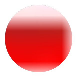 黄菊花种子食用泡茶贡菊.金丝皇菊.野生杭白菊.野菊花种子