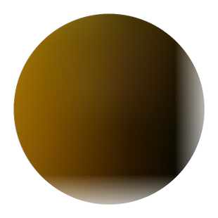 野菊花种籽特级黄菊花种子食用泡茶多年生花卉材药用耐寒菊花种孑