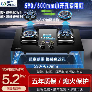 威力燃气灶家用双灶590尺寸定时天然气液化气煤气猛火灶 国补