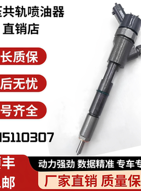 0445110307小松PC70-8 PC130-8 4D95挖掘机共轨柴油喷油器总成