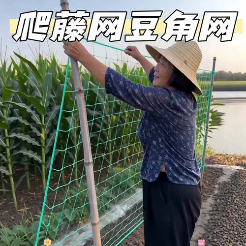 加粗爬藤网适用于丝瓜豆角黄瓜等