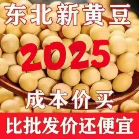 东北非转基因豆浆专用黄豆 优质东北大豆 高蛋白黄豆豆子五谷杂粮,粮油调味/速食/干货/烘焙,黄豆,淘宝优惠券,粉丝福利购,淘宝优惠卷