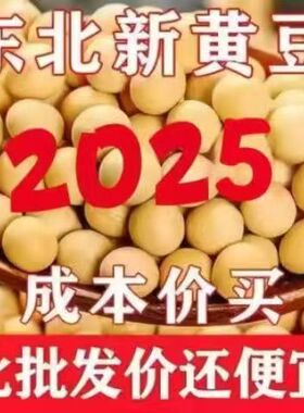 东北非转基因豆浆专用黄豆 优质东北大豆 高蛋白黄豆豆子五谷杂粮