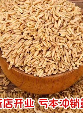 新货农家自产燕麦裸燕麦东北五谷杂粮麦粒粗粮粗粮五谷杂粮
