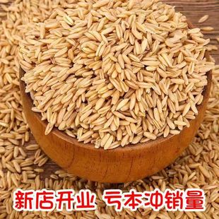 新货农家自产燕麦裸燕麦东北五谷杂粮麦粒粗粮粗粮五谷杂粮