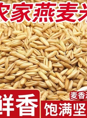 新货农家自产燕麦裸燕麦五谷杂粮胚芽米麦粒粗粮粗粮五谷杂粮
