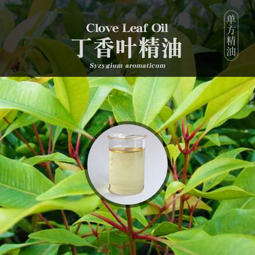 ROULXOIL柔续®丁香叶10ml单方精油香薰精油加湿器专用持久留香
