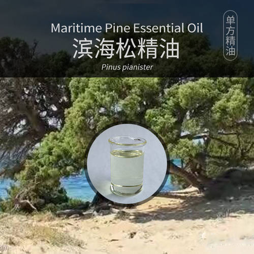 柔续®滨海松单方精油5ml身体按摩红松松果芳疗spa会所美容院用