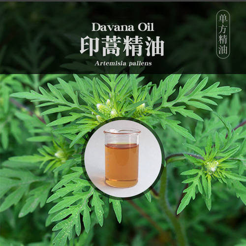 柔续®印度印蒿5ml单方精油女性保养护肤美容植物精油香薰