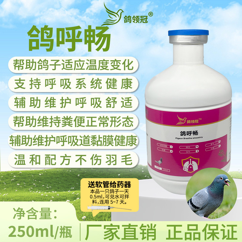 鸽呼畅赛鸽子呼吸道专用药比赛提速清理上下呼吸道专用药大全