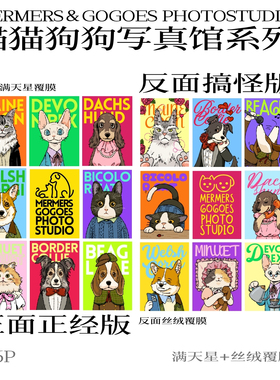 可诺拼 猫猫狗狗系列双面小拼迷你拼图艺术DIY解压玩具家居装饰