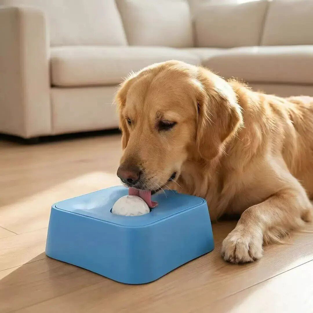 狗狗慢食碗猫咪小中大型犬湿粮水盆一体舔舔球宠物用品罐头舔食碗