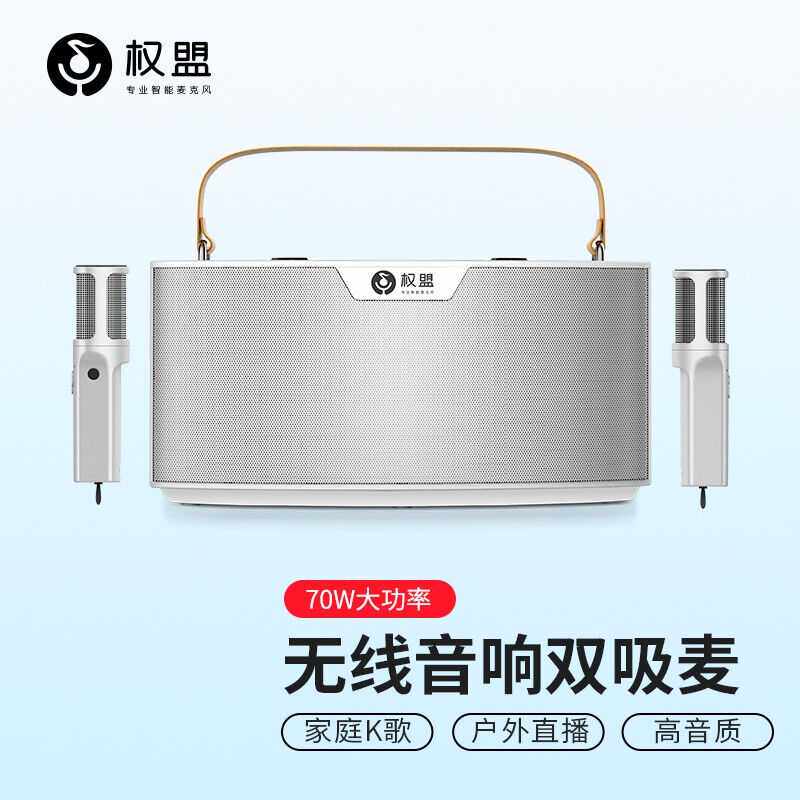 权盟双吸麦户外音响k歌自带声卡麦克风广场舞音响家庭ktv音响套装
