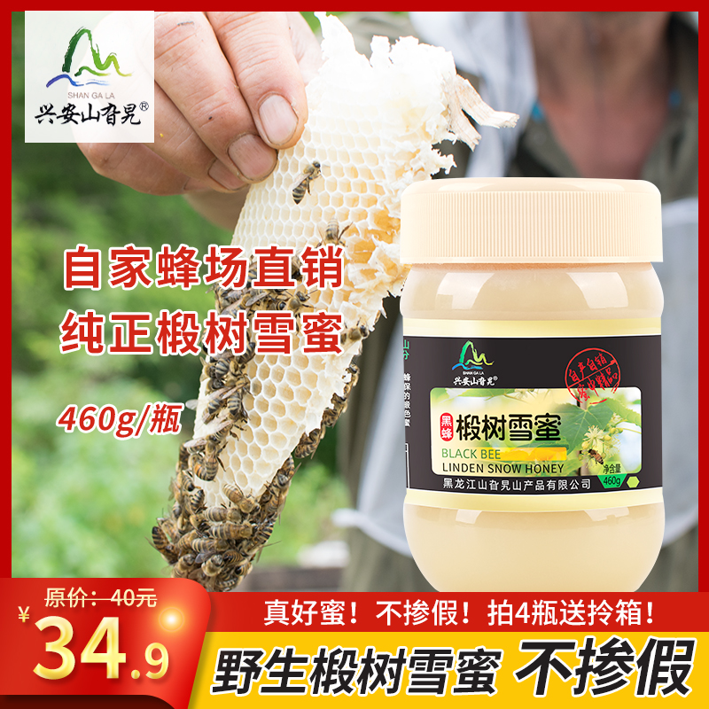 椴树蜂蜜野生椴树雪蜜纯正天然野生农家自产正宗蜂蜜森林原蜜460g