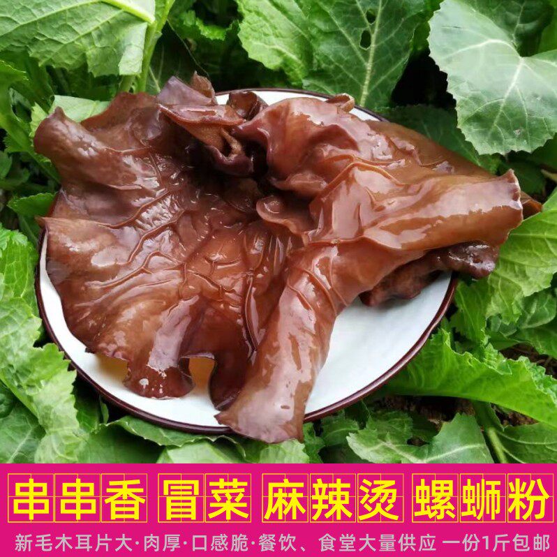 毛木耳干货散装头茬脆木耳地耳500g一斤包邮白背黑毛木耳特产大木
