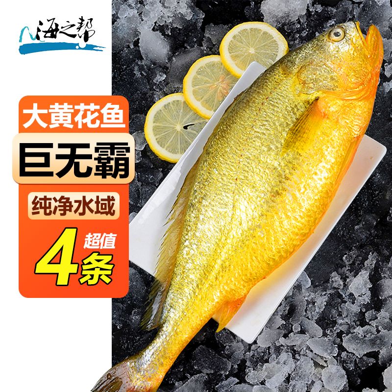 【勿动】海之帮正宗黄花鱼特大号新鲜冷冻大黄鱼大海鱼海鲜水产