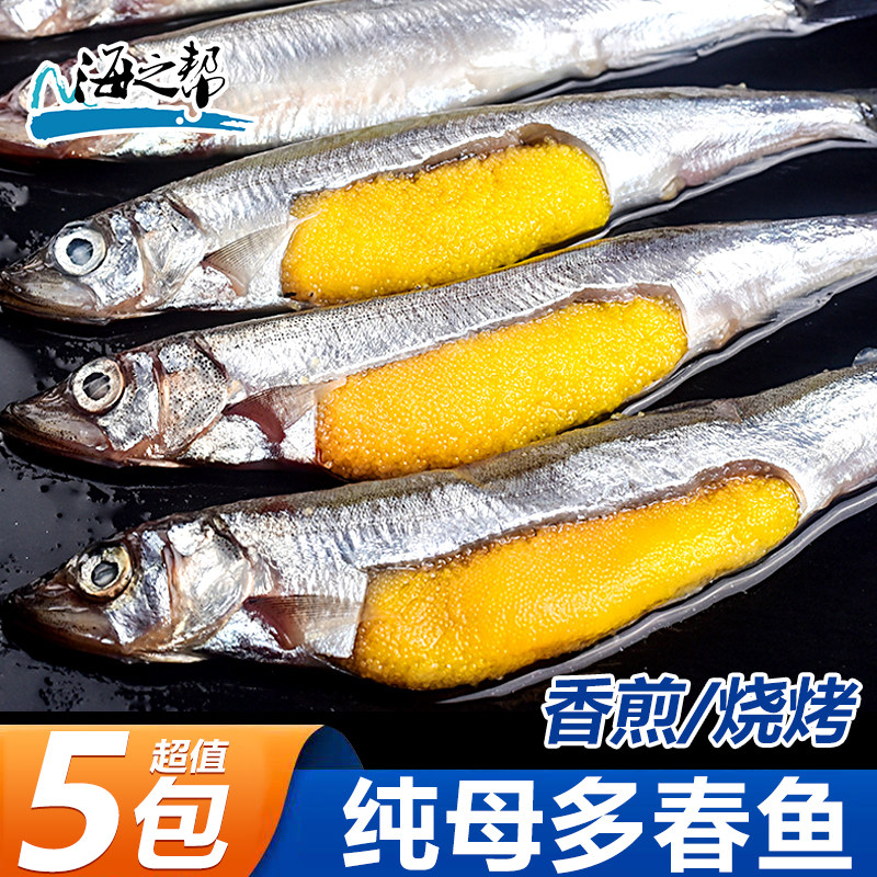 【海之帮】多春鱼满籽新鲜多籽鱼多春鱼（新）