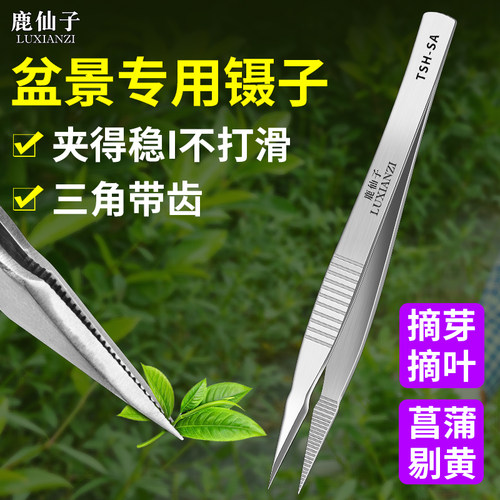 鹿仙子园艺镊子盆景专用菖蒲夹子
