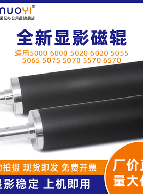 适用于佳能 IR5000 6000 5020 6020 显影磁辊 IR5055 5065 5075 5070 5570 6570 复印机显影辊 磁棒 磁辊