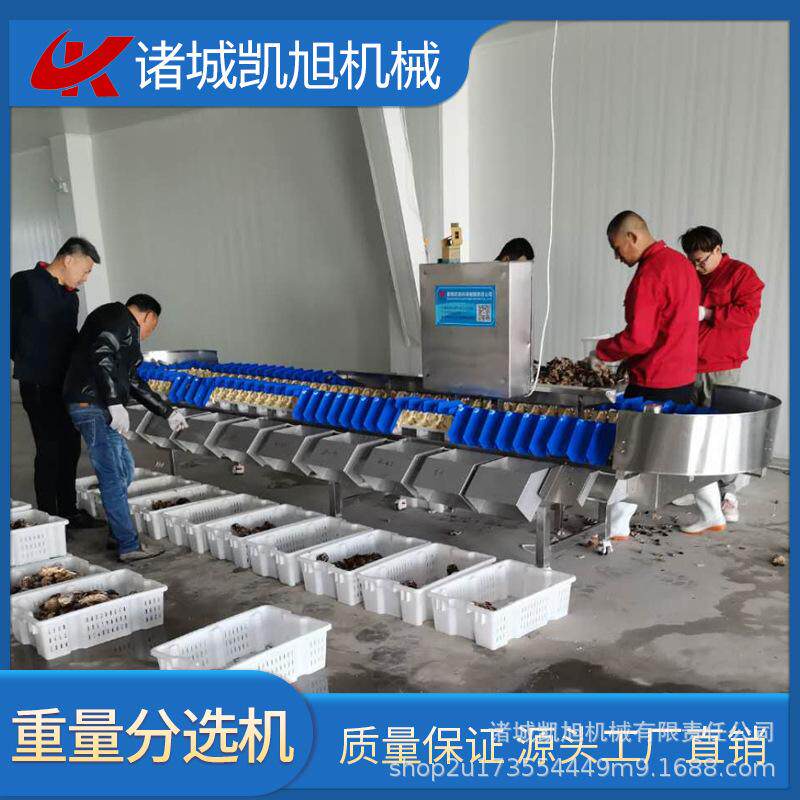 小型百香果克重选果机枇杷称重分选机柠檬重量分选设备 厂家供应