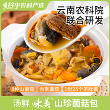 农科院云南七彩菌汤包菌菇汤料包松茸羊肚菌干货煲汤炖鸡汤食材
