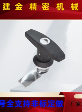 把手锁 XAR21带锁芯/无锁芯 黑色/亮铬 锌合金T型把手 门锁