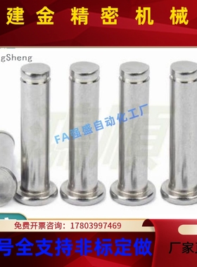 /替代米米SHCCG8/1思0/6/5/4/12-1015IZH扣/20/25铰链销带肩环型