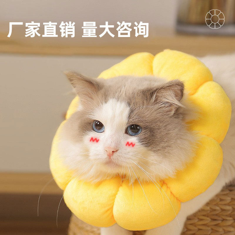 太阳花伊丽莎白圈猫咪项圈可爱柔和宠物猫猫脖圈绝育防舔防抓头套