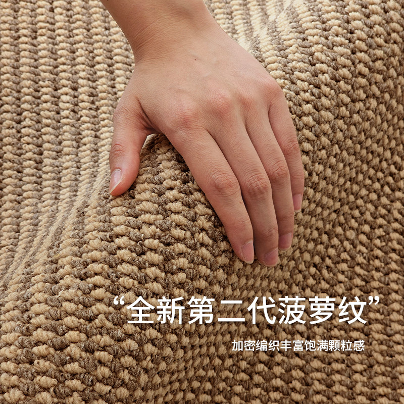 地毯客厅2025新款彷亚麻剑麻家用满铺卧室床边飘窗耐脏猫抓板地垫