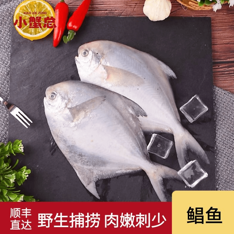 东海海捕银鲳鱼肉嫩刺少渔场海捕深海鲜活速冻肉质美味当季捕捞