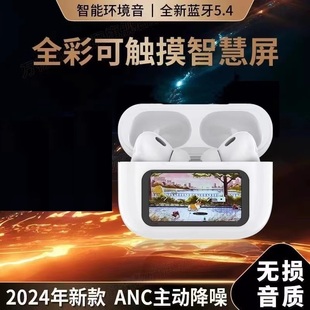 真无线ANC主动降噪蓝牙耳机入耳式 带触屏运动耳机 RIZFLY 米跃