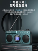 山水F28 便携FM收音机插卡蓝牙音响双喇叭立体声录音机数字选歌