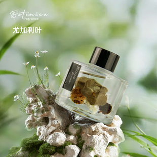 BOTANICA花草精油香薰家用卧室持久香氛无火藤条房间香水生日礼物