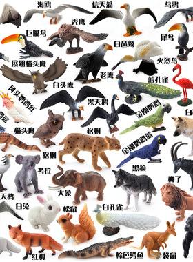 亚马逊动物模型仿真玩具老鹰鹦鹉飞禽大象狮子狼猩猩狐狸白兔
