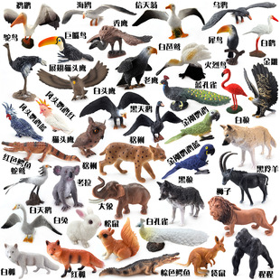 亚马逊动物模型仿真玩具老鹰鹦鹉飞禽大象狮子狼猩猩狐狸白兔