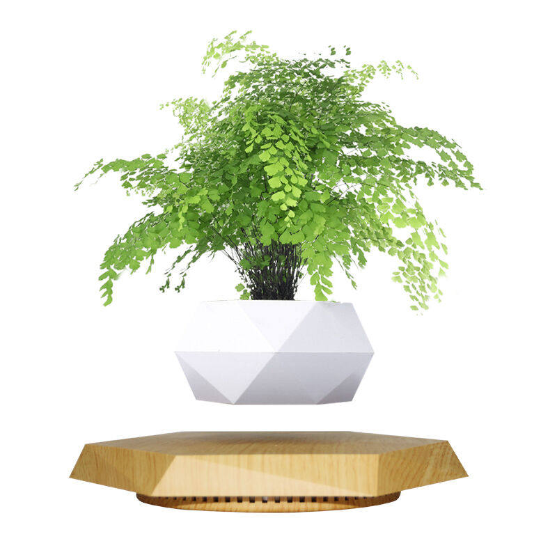 悬浮摆件创意磁悬浮盆栽空中绿植花盆植物展示台办公室装饰品乔迁