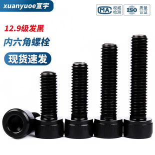 12.9级内六角螺丝高强度发黑杯头螺栓加长圆柱头螺钉M2M3M4M5 M24