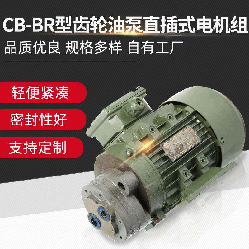 厂家供应CB-BR型齿轮油泵直插式电机组锯床油泵多种规格