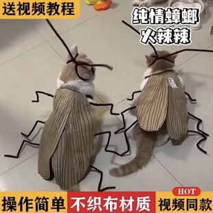 纯情蟑螂火辣辣猫咪衣服不织布扭扭棒手工DIY材料包创意搞怪道具