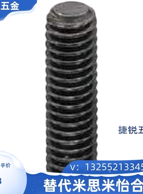 MSSFS/FSSFS2/3/4/5/6/8/1012-12345750内六角全长指定平头型