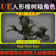 5.6虚幻角色 Oak Tree UE4.26 Ent 橡树怪物树精幻想树人动画模型