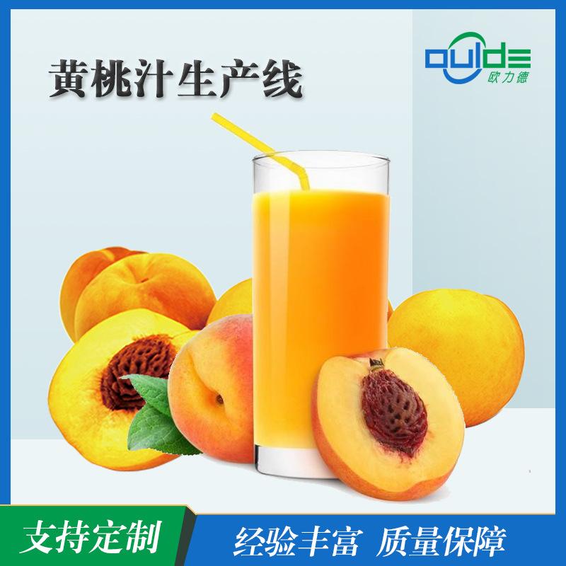 全自动生产线大小型果汁果酱饮料橙汁生产线黄桃汁生产线榨汁设备