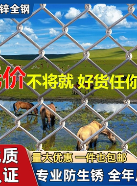 热镀锌铁丝网格养殖围栏圈牛羊鸡鸭果园隔离防护钢丝网防锈勾花网