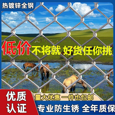 生锈包赔钢丝网源头厂家量大优惠
