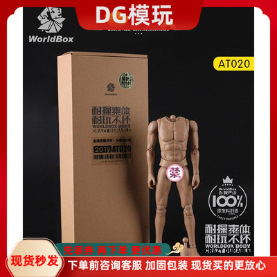Worldbox 1/6兵人素体模型 AT020 耐操素体 带脖头雕通用版 现货